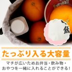 ランチバッグ 巾着袋