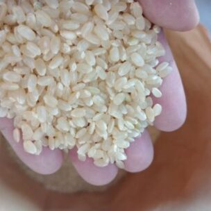 もりケロふぁーむの物語ー微生物が育む無農薬の米づくり