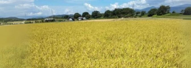 もりケロふぁーむの物語